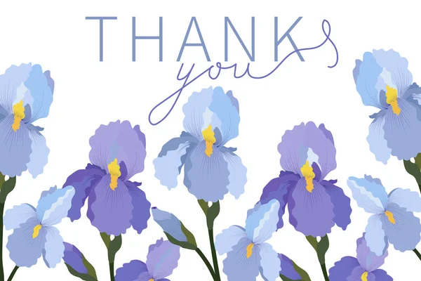 Podziękowania Dla Iris Poziomy Baner Kwiatami Ilustracja Wektora — Wektor stockowy