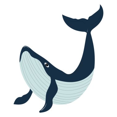 El yapımı kambur balina. Beyaz arka planda okyanus hayvanının vektör çizimi