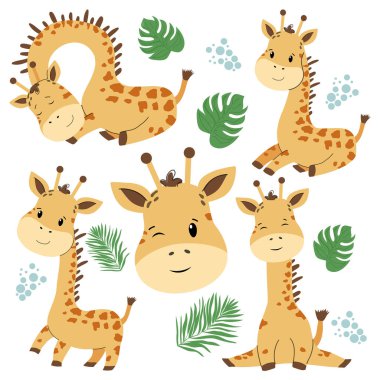 Safari çocukları zürafa bembeyaz arka planda izole edilmiş, vektör illüstrasyonu. Farklı pozlarda bebek hayvan. Vektör illüstrasyonu