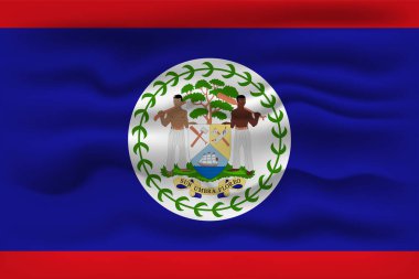 Waving flag of the country Belize. Vector illustration.
