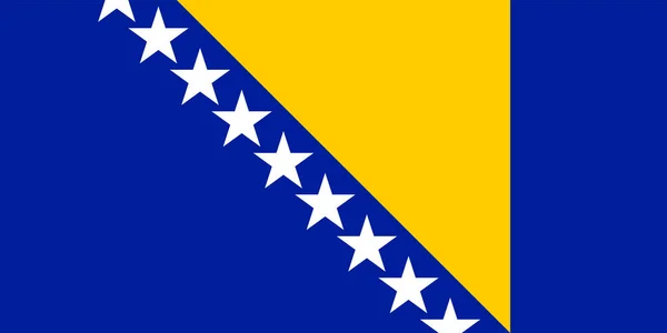 Bandiera Bosnia Erzegovina Colori Ufficiali Proporzione Illustrazione Vettoriale — Vettoriale Stock