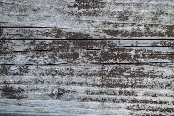 Gray Aged Wood Background Close — Stock Photo, Image
