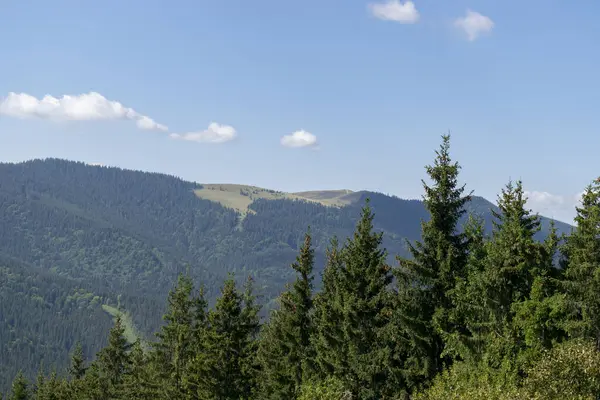 Krajobraz Górski Lasem Karpatach Ukrainy — Zdjęcie stockowe