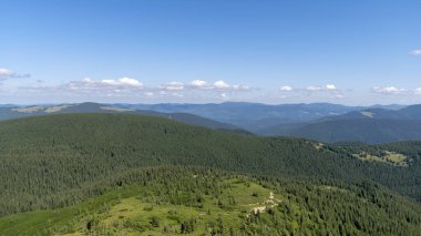 Ukrayna 'nın Karpat Dağları' ndaki ormanlı dağ manzarası.