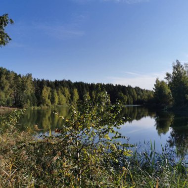 Autumn lake water reflection landscape