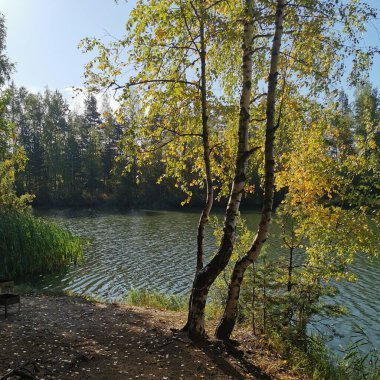 Autumn lake water reflection landscape