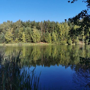Autumn lake water reflection landscape