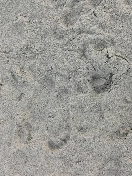 gray beach sand with human footprints for background