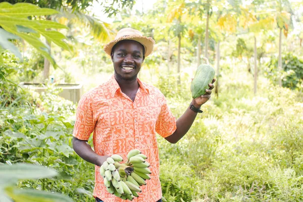 African farmer with hat is holding fresh papaya and banana in the organic plantation field.Agriculture or cultivation concept