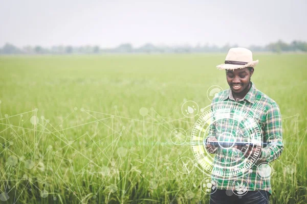 Afrikai Mezőgazdasági Termelő Táblagépet Használ Biogazdálkodás Kutatási Adataihoz Jövőbeli Hologram — Stock Fotó