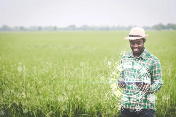 Afrikai Mezőgazdasági Termelő Táblagépet Használ Biogazdálkodás Kutatási Adataihoz Jövőbeli Hologram Jogdíjmentes Stock Fotók