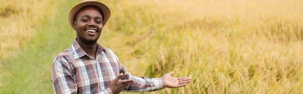 Şapkalı Afrikalı Çiftçi Büyüyen Buğday Tarlasında Duruyor Tarım Tarım Kavramı — Stok fotoğraf
