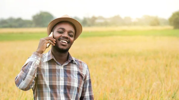 Afrikaanse Boer Hoed Staat Gebruikt Smartphone Zijn Groeiende Tarweveld Landbouw — Stockfoto