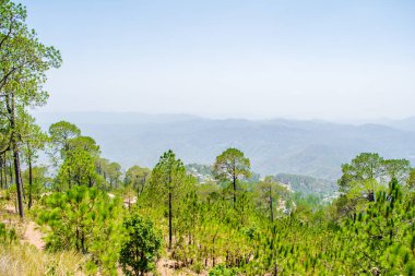 Uttarakhand 'ın Garhwal ilçesindeki güzel Yeşil Dağlar ve Lansdowne vadileri. Lansdown Güzel Tepeler. Uttrakhand tepelerindeki doğanın güzelliği.