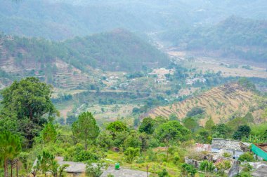 Uttarakhand 'ın Garhwal ilçesindeki güzel Yeşil Dağlar ve Lansdowne vadileri. Lansdown Güzel Tepeler. Uttrakhand tepelerindeki doğanın güzelliği.