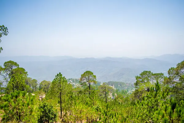 Uttarakhand 'ın Garhwal ilçesindeki güzel Yeşil Dağlar ve Lansdowne vadileri. Lansdown Güzel Tepeler. Uttrakhand tepelerindeki doğanın güzelliği.