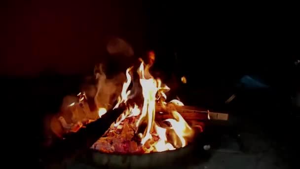 Zpomalené Plameny Ohně Černém Pozadí Malý Táborový Oheň Oheň Plameny — Stock video