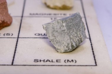 Gri bir kayanın doku arka planında izole edilmiş bir örneği. Gri Sayfa Başkalaşımlı Kaya örneği.