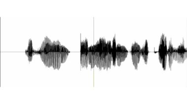 Soyut dalga hareket eşitleyicisi. Ses dalgası dengeleyici spektrum, Müzik Dengeleyici, Ses Görselleştirme. Soyut müzik ses dalgası veya izole edilmiş ses dalgası.