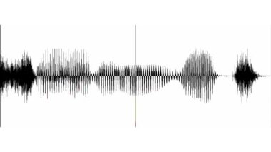 Soyut dalga hareket eşitleyicisi. Ses dalgası dengeleyici spektrum, Müzik Dengeleyici, Ses Görselleştirme. Soyut müzik ses dalgası veya izole edilmiş ses dalgası.