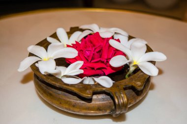 Hint şenlikleri için taze, beyaz çiçeklerle dolu kaliteli bir kase. Çiçek süslemeli kase.