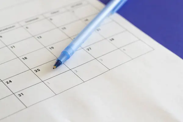 Takvim sayfasında mavi kalem İş Planlama Randevu Toplantısı