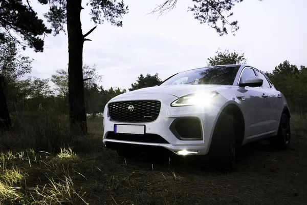 Stockholm, İsveç - Ekim 01, 2024: Lüks beyaz elektrikli bir Jaguar E-Pace, gece ormanına park edilmiş, farları açık, modern otomotiv tasarımı, spor araba karışımı.