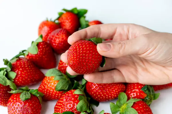 Olgun organik bir çileği tutan kadın el, hasat ediyor.