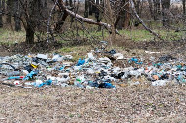 Ormanda bir sürü çöp var. Orman ve doğa kirliliği kavramı. Ormanda berbat bir çöplük..