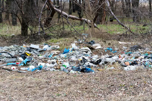 Ormanda bir sürü çöp var. Orman ve doğa kirliliği kavramı. Ormanda berbat bir çöplük..