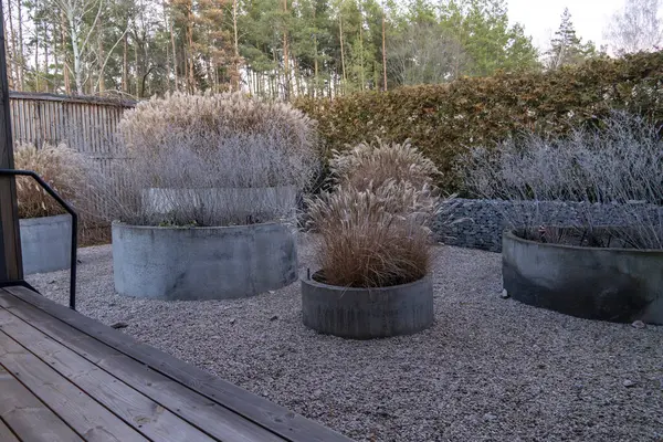 Bahçeden bahçeye, çitin yakınındaki çitlere, çam ağacına, bahçe tasarımına bak.