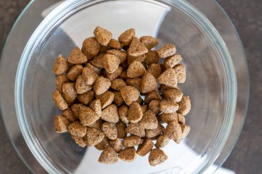 Dijital mutfak terazisine yerleştirilmiş kuru köpek ya da kedi mamasıyla dolu bir kase, porsiyon kontrolü konsepti, dengeli beslenme ve sorumlu beslenme.