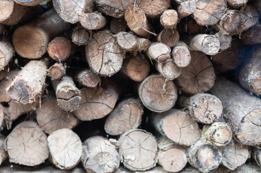 Stack of old logs. Wood material for heating prepare for burn in cold winter.