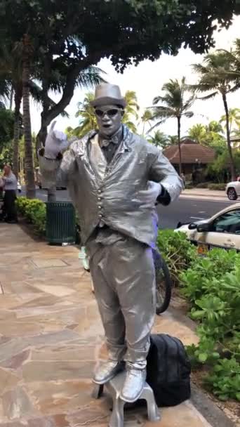 Žijící Stříbrná Socha Honolulu Havaji Pouliční Umělec Turistický Bavič — Stock video