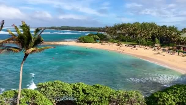 ハワイのオアフ島の写真ラグーン 美しい風景 軽い風 ヤシの木 — ストック動画
