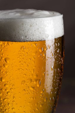 Köpüklü ıslak bir bardak soğuk light birayı kapat. Seçici odak