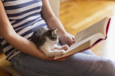 Sahibinin kucağında uzanan sevimli kedi yavrusu sahibinin sıcak, rahat, evcil atmosferinde kitap okurken keyif çatıyor ve mırıldıyor.