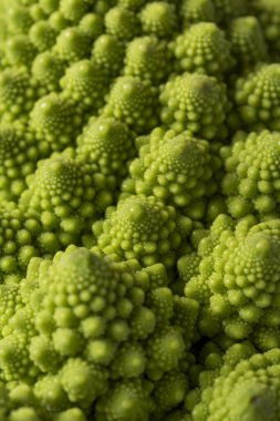 Taze Romanesco karnabahar çiçeklerine yakın çekim. Seçici odak