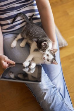Yerde oturan bir kadın, elinde tablet bir bilgisayarla evde çalışıyor ve sevimli kedi bakıcılarına sarılıyor.