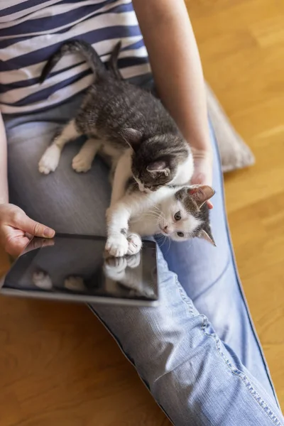 床に座ってタブレットのコンピュータを持ち かわいい小さな猫のペットアシスタントを抱きながら自宅で働いている女性 — ストック写真