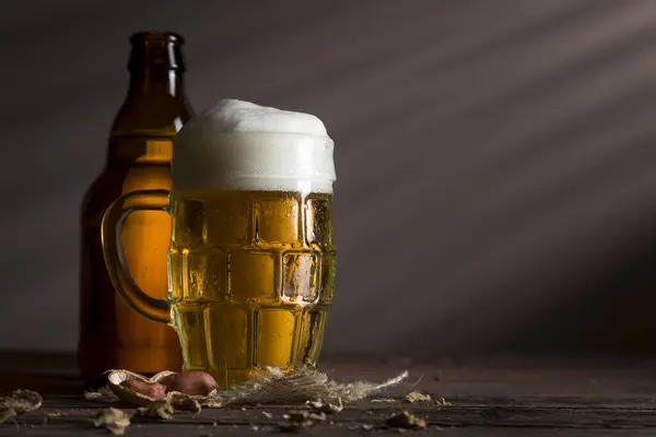 Garrafa Cerveja Uma Caneca Cerveja Fria Pálida Colocada Uma Montanha — Fotografia de Stock