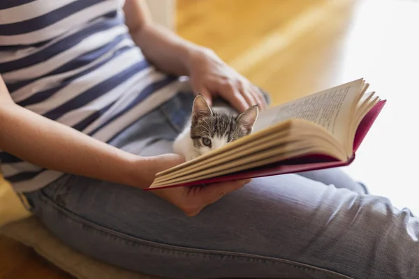 オーナーが暖かく居心地の良い 家庭的な雰囲気の中で本を読んでいる間 飼い主のラップで横たわる柔らかい子猫 — ストック写真