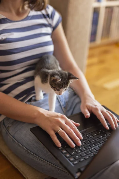 Mujer Trabajando Portátil Casa Con Gato Como Asistente —  Fotos de Stock