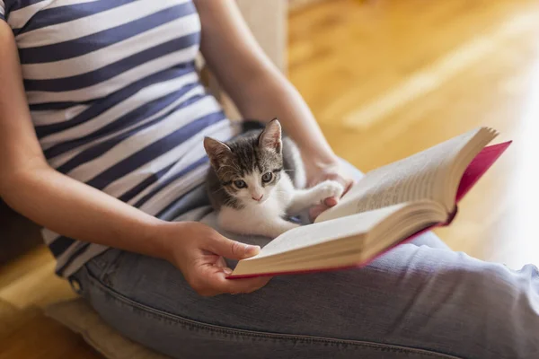 当主人在温暖舒适的家庭氛围中看书时 柔软舒适的小猫躺在主人的膝上 享受着呼噜声 — 图库照片