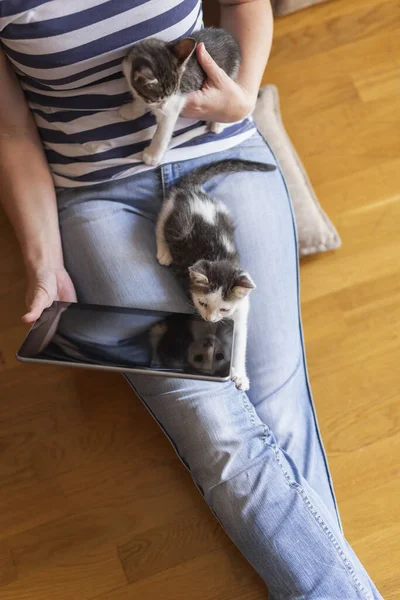 床に座ってタブレットのコンピュータを持ち かわいい小さな猫のペットアシスタントを抱きながら自宅で働いている女性 — ストック写真