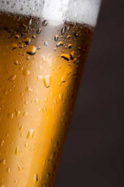 Islak, soğuk, solgun bir biranın kapağını kapat.
