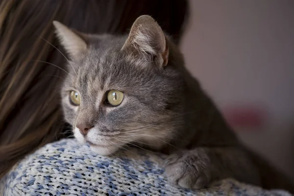 Mujer Sosteniendo Gato Mascota Que Está Acostado Hombro Mirando Través —  Fotos de Stock