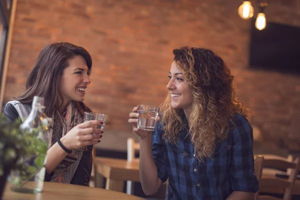两个女孩坐在咖啡店里 用薄荷叶喝解毒水 玩得很开心 注意左边的那个女孩 — 图库照片
