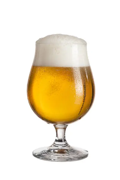 Glass Cold Light Beer Isolated White Background — Stock Photo, Image