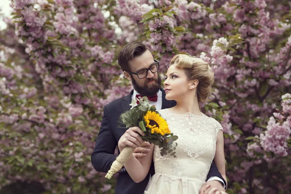 Yeni Evli Çift Sokakta Kiraz Çiçeğinin Yanında Duruyor Sarılıyorlar Ellerinde — Stok fotoğraf